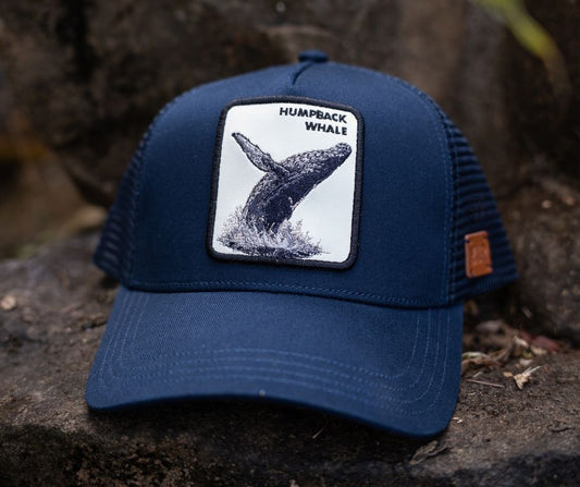 Humpback Whale Hat