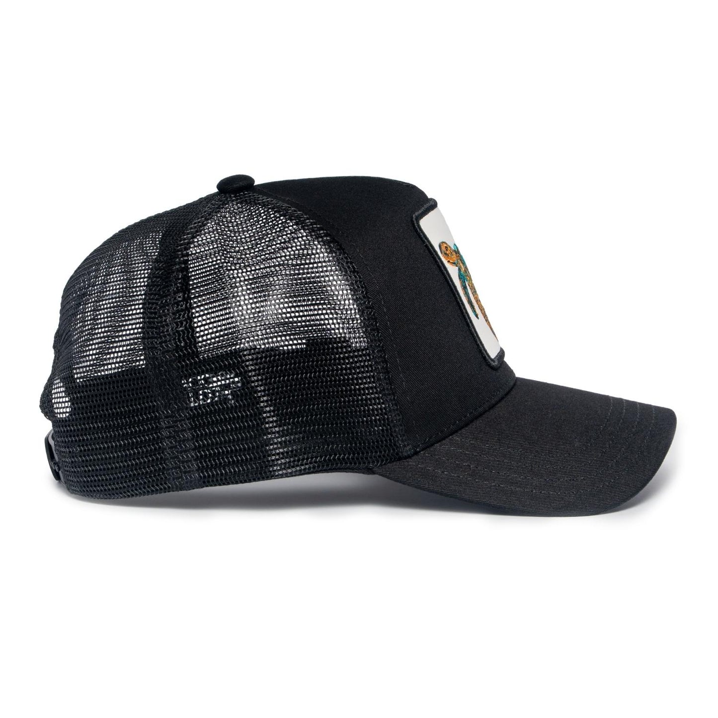 Sea Turtle Hat