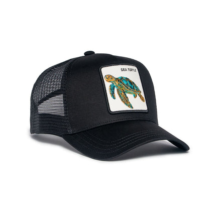 Sea Turtle Hat