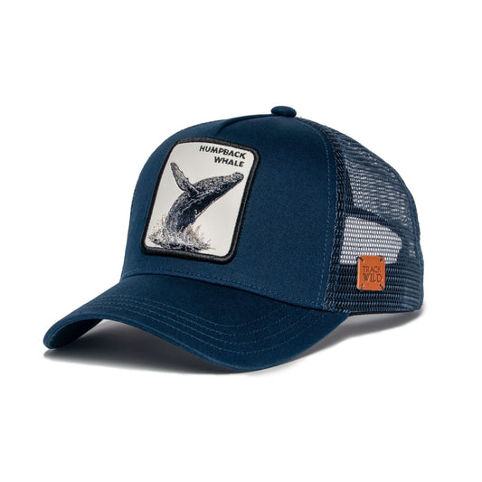 Humpback Whale Hat