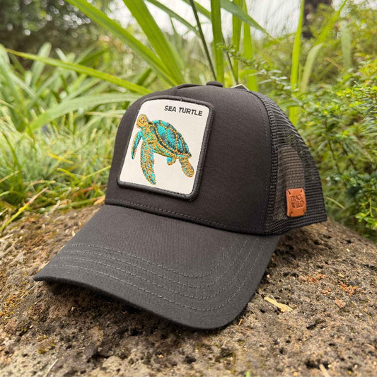 Sea Turtle Hat